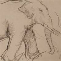 ældre tegning af elefant original kunst.